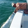 Doc landing his first tarpon on a fly!