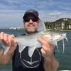 Saltwater Catfish