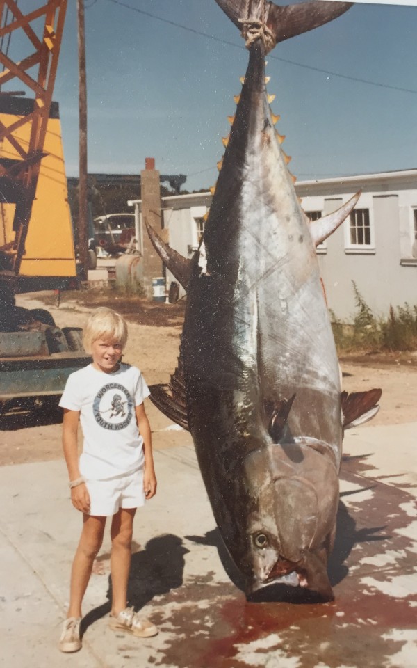 Bluefin Tuna 1975
